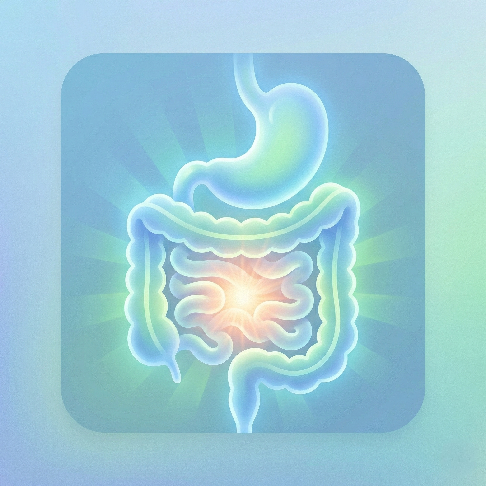 Digestive Wellness