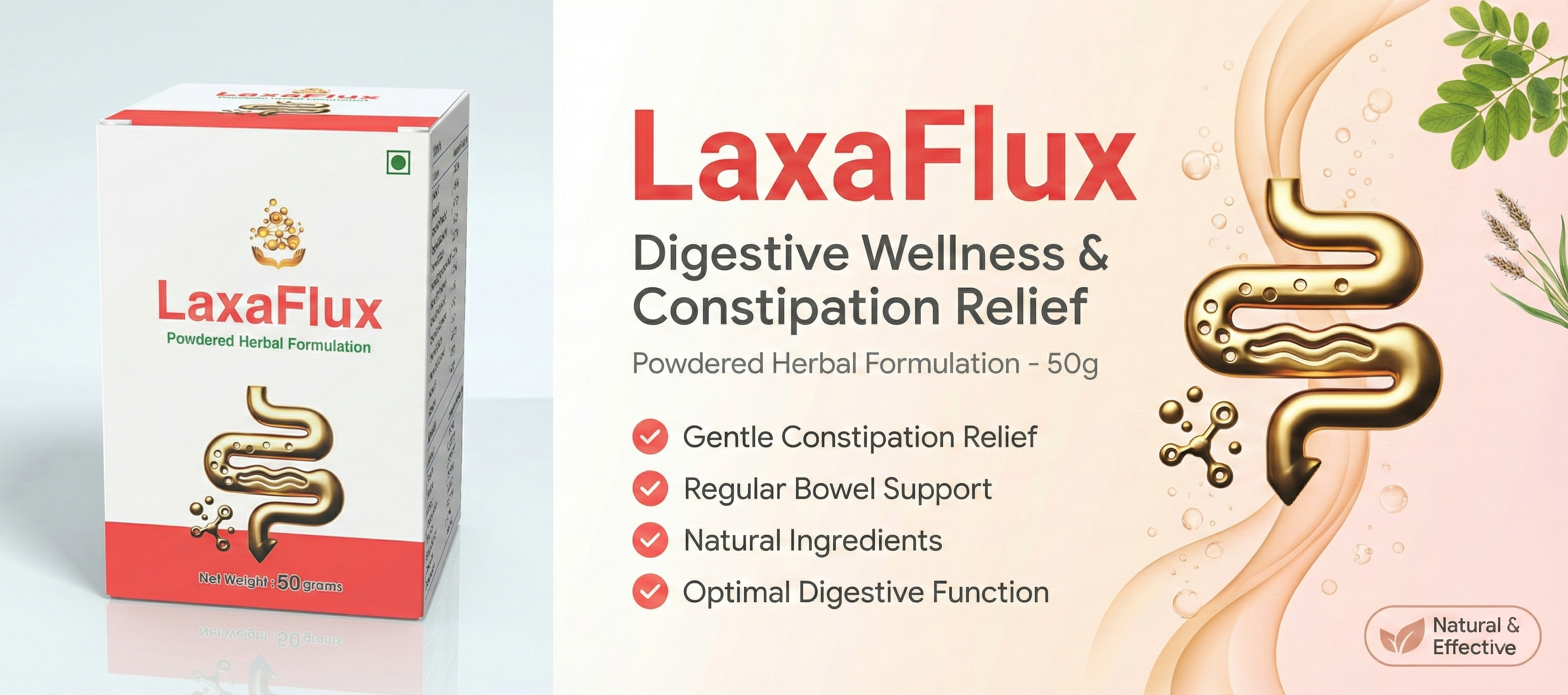 LaxaFlux Banner